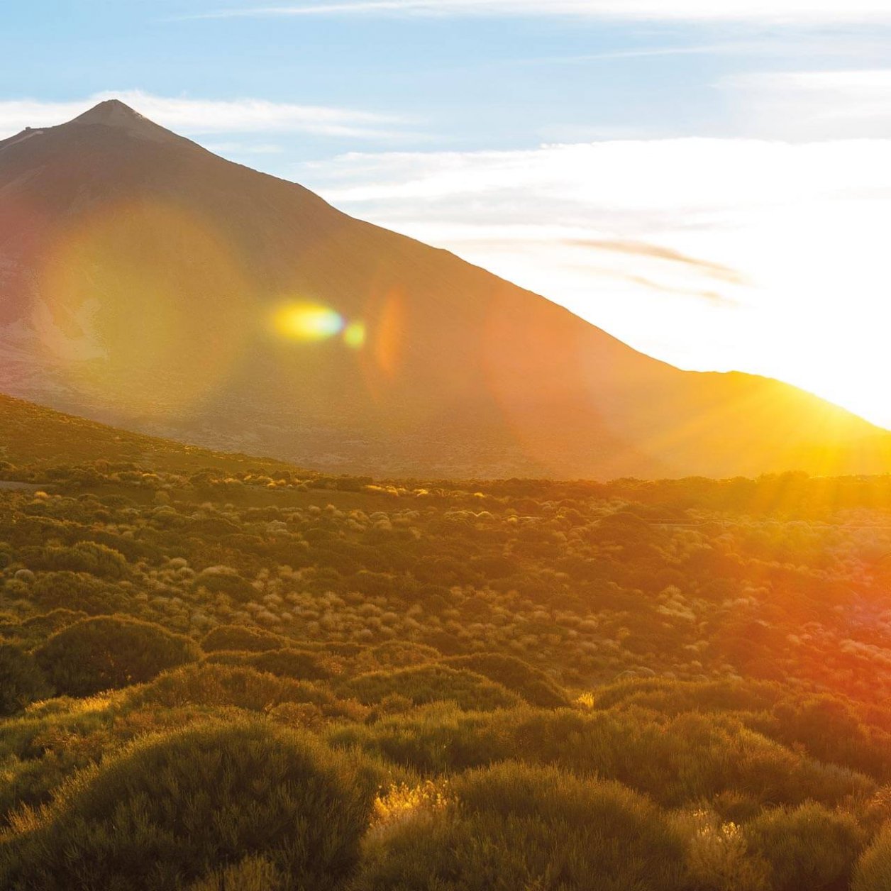 Mountain and field at sunset.
