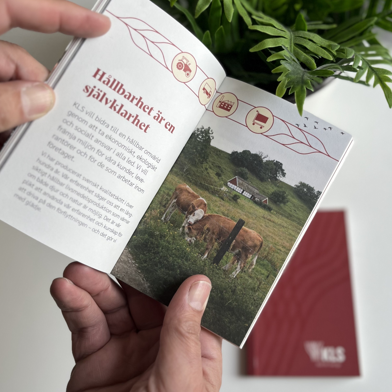 A graphic manual printed in book format